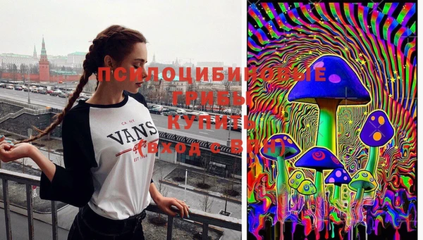 тгк Алексеевка