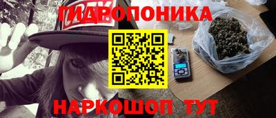 ешки Ставрополь