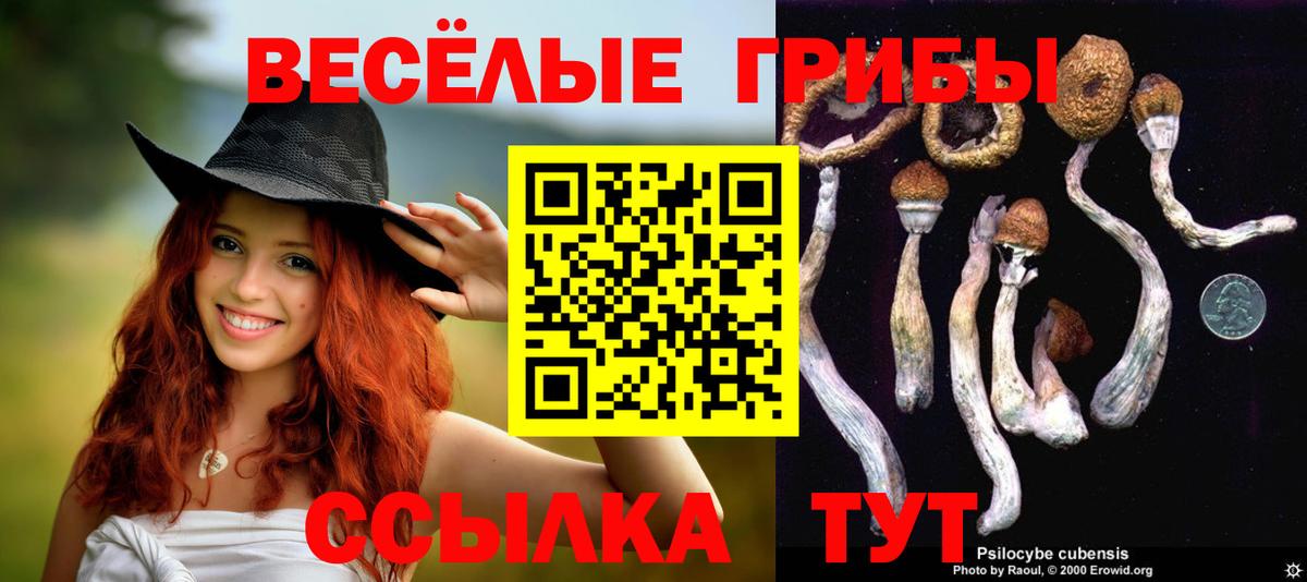 Псилоцибиновые грибы прущие грибы Радужный