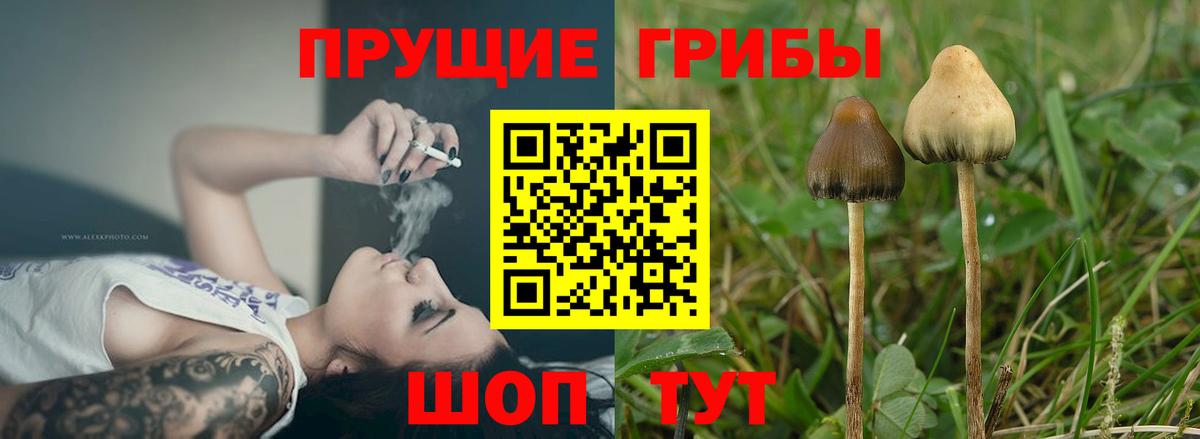 Радужный  Псилоцибиновые грибы мухоморы  Вход с VPN 